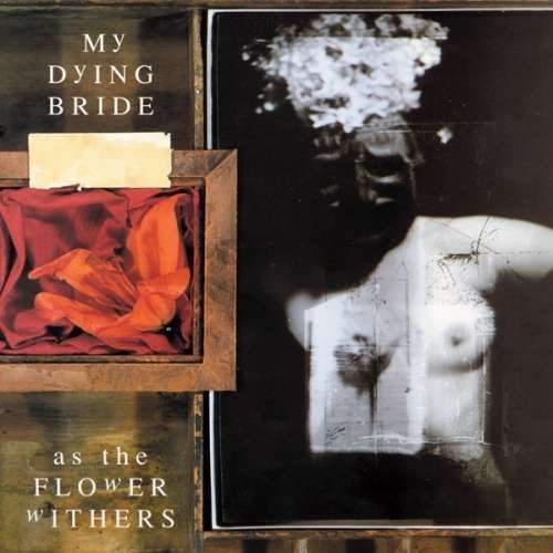<b>My Dying Bride</b>, As The Flower Withers-hq- – Vinil